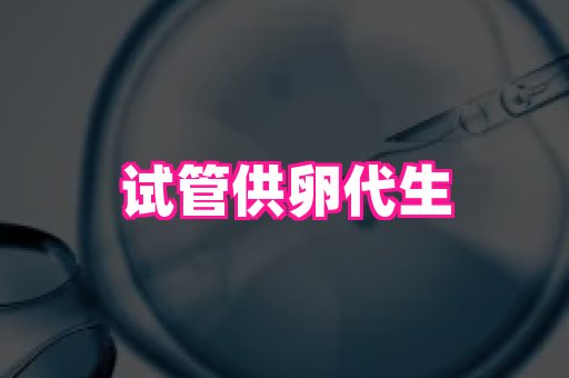 南京助孕网 4